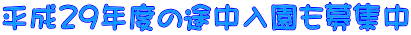 ����18�N�x�@�V��������W�v�� 