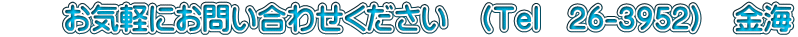 �@�@���C�y�ɂ��₢���킹���������@�i�s�����@26-3952�j�@���C