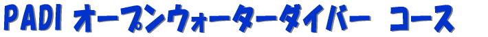 PADI I[vEH[^[_Co[@R[X@ 